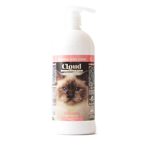 Aries Cloud - Mascarilla reestructurante (1 L)