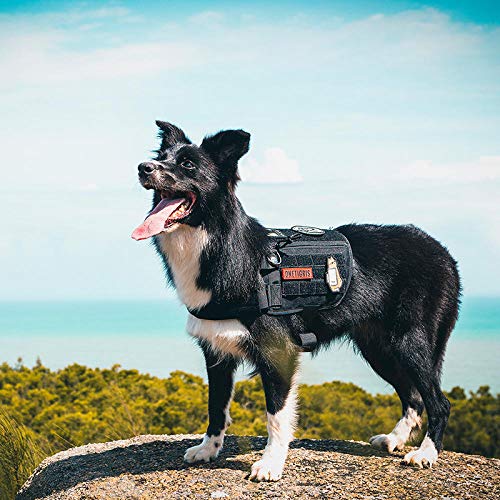 Arnés de perroArnés de Asistencia para Perros de Servicio Chaleco Compatible Arnés de Entrenamiento Militar táctico MOLLE para Perros de Servicio-Negro_S