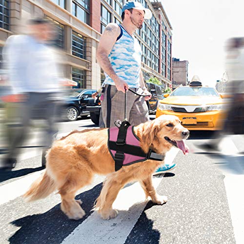 Arnés para Perros Transpirable sin tracción Ajustable, Ayuda para el Entrenamiento de la Marcha, Control fácil en el Exterior para Perros pequeños y medianos, arnés Rosa para Perros