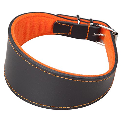 Arppe 2154013506 Collar Galgo o Cuero Superfelt, Negro y Naranja