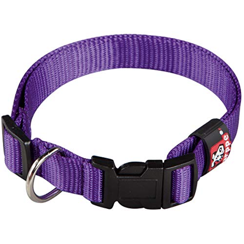 Arppe 2240011017 Collar Nylon Basic, Purpura