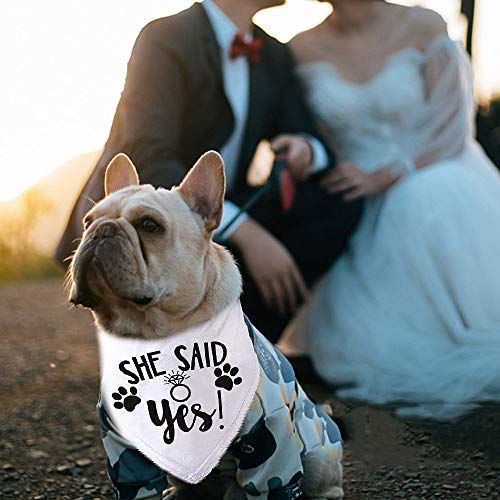 ASOCEA Perro Bandana Triángulo Baberos Mascota Gato Compromiso de boda Pañuelo Cachorro Gatito Collar Bufanda Accesorios con Mis seres humanos se van a casar Ella dijo que sí - 2 piezas