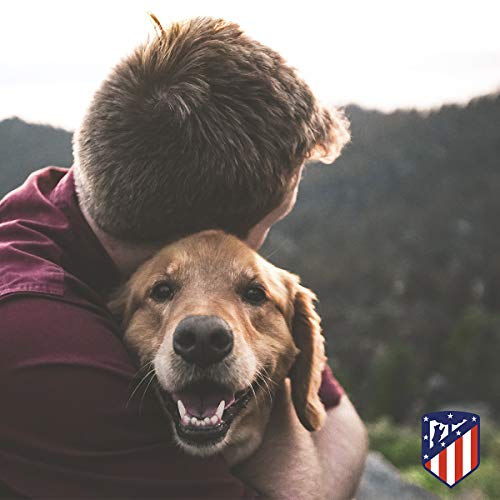 Atletico de Madrid CL-20L-ATL Collar para Perro, Talla L