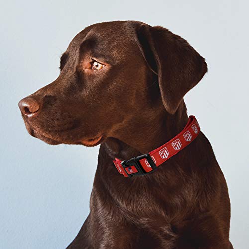 Atletico de Madrid CL-20M-ATL Collar para Perro, Talla M Atético de Madrid