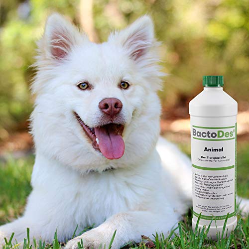 BactoDes - Eliminador de olores de Animales Animales – 1 litro, Incluye Botella de Mezcla – Eliminador de olores para orina de Gatos, orina de Perro y Animales pequeños