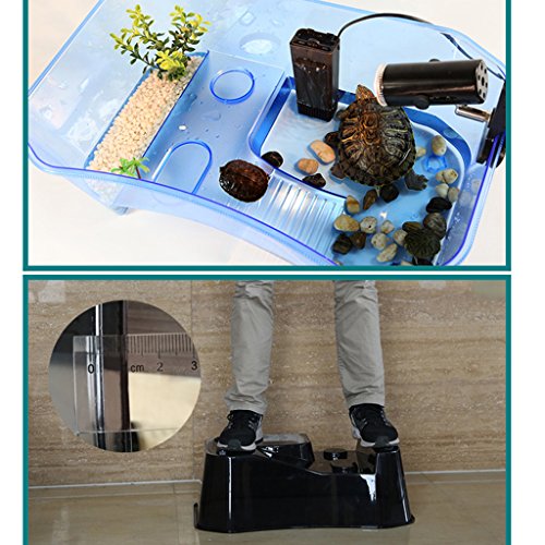 Baoblaze Caja de Alimentación Reptiles Tanque de Alimentación Tortuga Semi-Transparente Casa Mascota - Azul