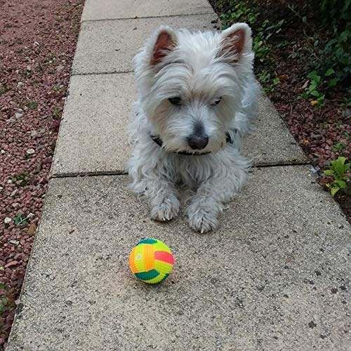 Bbl345dLlo Pelota de morder para morder con forma de balón de fútbol, luz LED intermitente, sonido, juguete divertido para perros y mascotas, color al azar