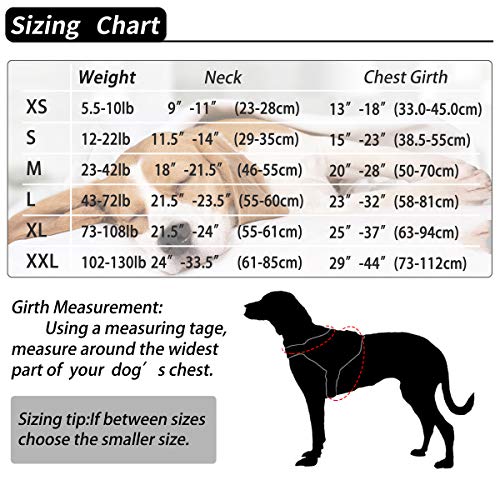 Belababy Arnés de Perro Transpirable sin tracción Ajustable, Ayuda para Caminar para el Entrenamiento de Caminata, Control fácil al Aire Libre para Perros pequeños y medianos, arnés de Perro Negro