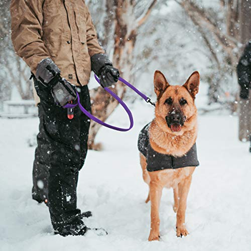 Belababy Correa para Perros Mediana, Correa para Perros con Doble asa de 5 pies, Correa para Perros Reflectante Hecha de Nylon Duradero, Correa de 150 cm Perros medianos o pequeños