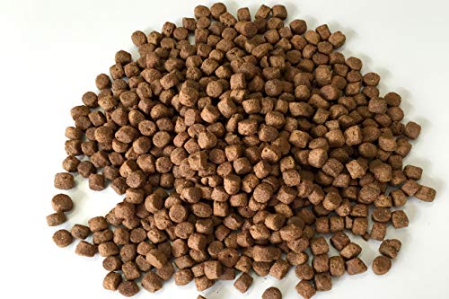 bellfor. freiland de ojos Gallina. 100% Natural Sin cereales Perros trockenfutter 2,5 kg