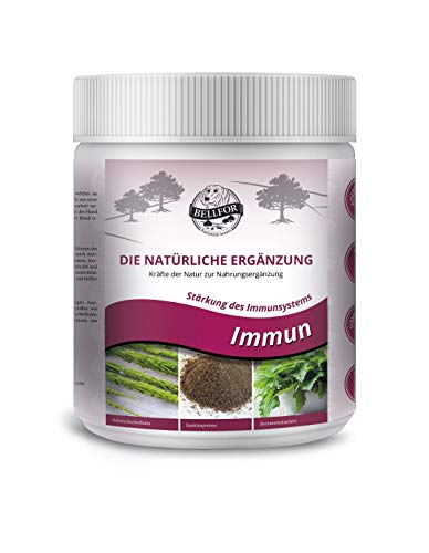 bellfor immun – Polvo – 200 g Suplemento nutricional para perros fortalece el sistema inmunológico su perro