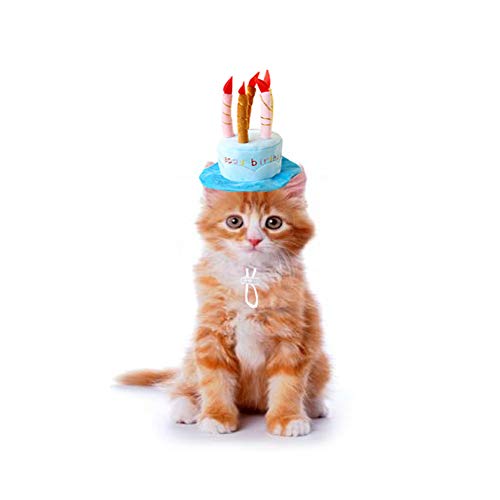 Bello Luna Sombrero de cumpleaños para Mascotas Sombrero de Felpa Corto Ajustable como un Pastel de cumpleaños Adecuado para la mayoría de los Perros y Gatos - Azul