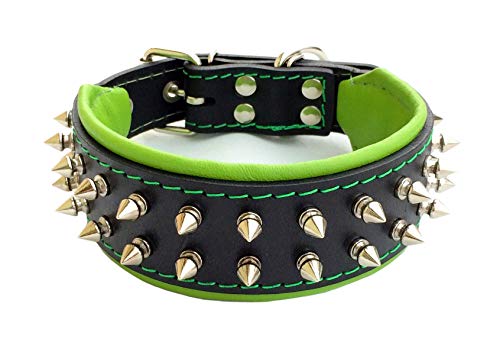 Bestia "Frenchie'' Collar de Perro con púas, 100% Cuero, Acolchado Suave, Fabricado en Europa