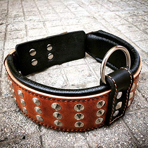 Bestia '' Star '' Collar de Perro de Cuero Genuino con Tachuelas