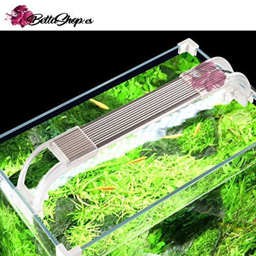 BETTASHOP.ES ACUARIOS Acuario 12,5 litros DE Cristal Little Cold con Filtro Y LUZ LED