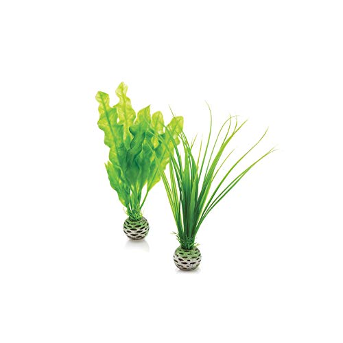 biOrb 46055 Set de 2 Plantas Verdes, Un tamaño