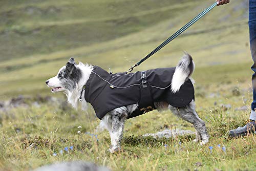 BLACKDOGGY Abrigos para Perros Impermeable Medio con Orificio para arnés, Deporte al Aire Libre de Primera Calidad, Resistente al Viento Cálido para Perros de Clima frío Chaquetas Negro Talla M