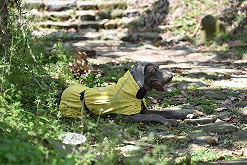 BLACKDOGGY Abrigos para Perros Impermeable Medio con Orificio para arnés, Deporte al Aire Libre de Primera Calidad, Resistente al Viento Cálido para Perros de Clima frío Chaquetas Negro Talla M