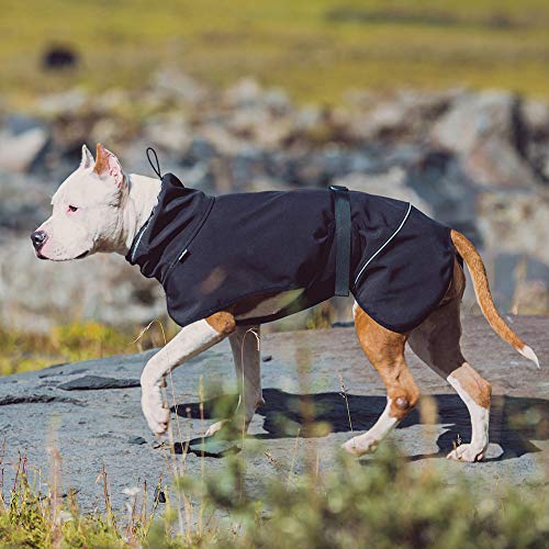 BLACKDOGGY Outdoor Sport Dog - Chaqueta con Cuello Alto Cold Weather Pets Apparel Invierno Caliente Coats Puppy Comfort Vest