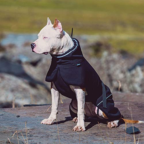 BLACKDOGGY Outdoor Sport Dog - Chaqueta con Cuello Alto Cold Weather Pets Apparel Invierno Caliente Coats Puppy Comfort Vest