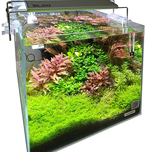 Blau Aquaristic Cubic Aquascaping 42 8450 g