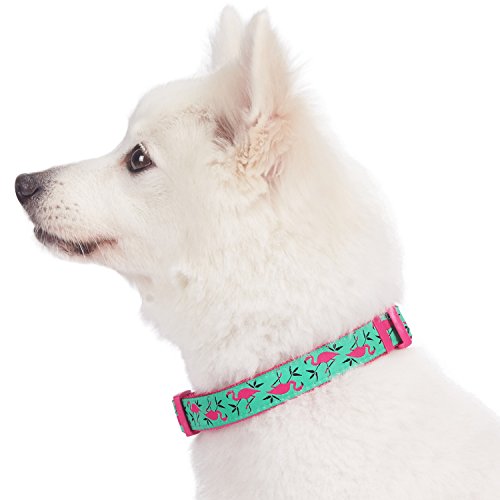 Blueberry Pet - Collar para Perro (45,7 a 66 cm), diseño de Flamenco Rosa