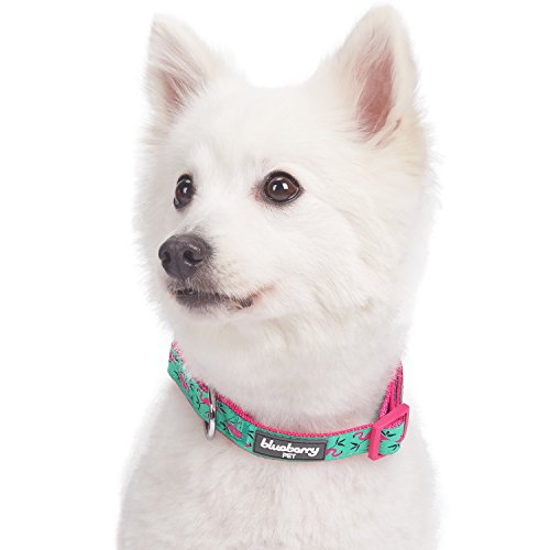 Blueberry Pet - Collar para Perro (45,7 a 66 cm), diseño de Flamenco Rosa