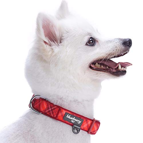 Blueberry Pet Soft & Comfy Scottish Aileen Red Plaid Tartan Style Designer Padded Dog Collar, Small, Neck 30cm-40cm, Adjustable Collars for Dogs