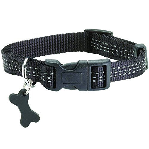 Bobby Safe Collar, XL Large, Black