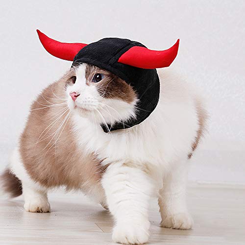 Boylee - Gorro para mascotas con diseño de cuernos de toro de diablo