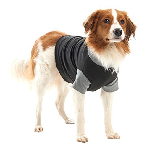 Buster - Body Easygo para perros,Negro,L