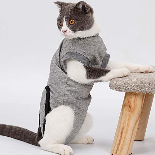 BVAGSS Traje de Recuperación Anti-mordida E Algodón Alternativo Camisa para Gatos y Perros, heridas y Enfermedades de la Piel en Interiores XH008 (XS, Grey)