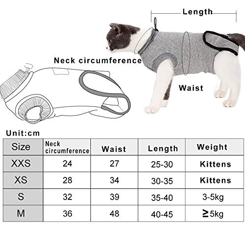 BVAGSS Traje de Recuperación Anti-mordida E Algodón Alternativo Camisa para Gatos y Perros, heridas y Enfermedades de la Piel en Interiores XH008 (XXS, Grey)