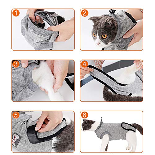 BVAGSS Traje de Recuperación Anti-mordida E Algodón Alternativo Camisa para Gatos y Perros, heridas y Enfermedades de la Piel en Interiores XH008 (XXS, Grey)