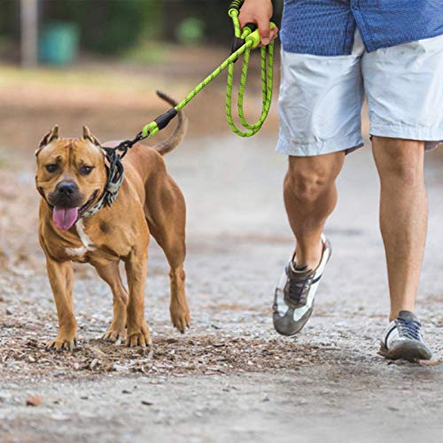 Bwiv Correa para Perros Correr 1.8M Resistente Nylón Fuerte con Mango Acolchado Doble Asa Cómodo Antideslizantes Reflectantes para Grandes Medianos Verde