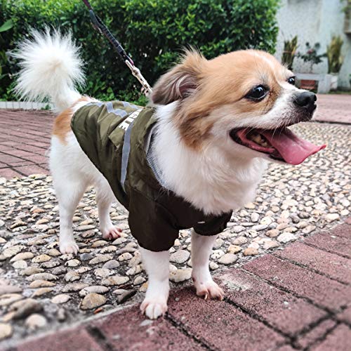 BZZBZZ Impermeable Plegable para Mascotas, Poncho Impermeable para Lluvia con Capucha para Perros con Tiras Reflectantes, Adecuado para Perros pequeños, medianos y Grandes (Verde)