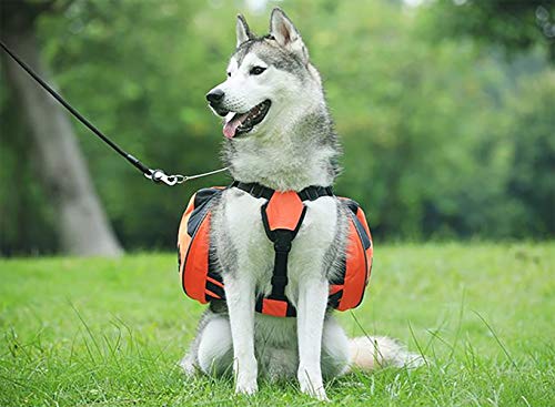 BZZBZZ Mascotas de Mochilas, Bolsas para Perros, Bolsas de Trabajo, Seguridad al Aire Libre, con Tiras Reflectantes, Mochila para Excursionismo de Viaje para Mascotas