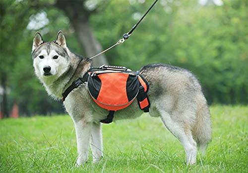 BZZBZZ Mascotas de Mochilas, Bolsas para Perros, Bolsas de Trabajo, Seguridad al Aire Libre, con Tiras Reflectantes, Mochila para Excursionismo de Viaje para Mascotas