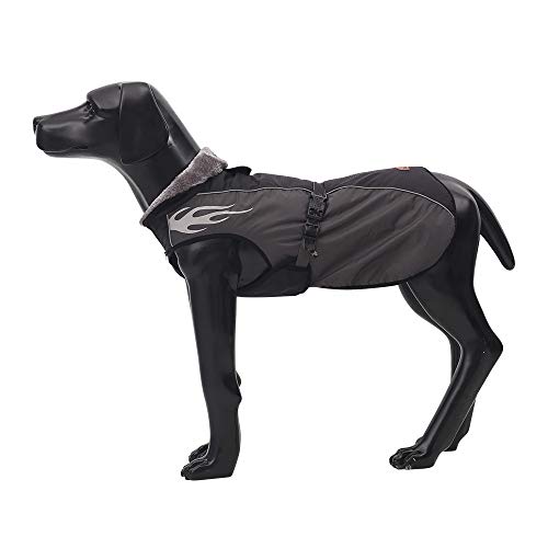 BZZBZZ Ropa de Abrigo para Perros, Chaqueta para Exteriores, Lluvia y frío, Cofre y Espalda sin Mangas, con Tiras Reflectantes Ajustables