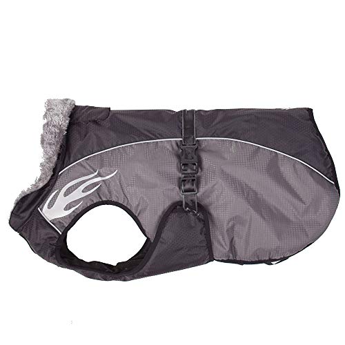 BZZBZZ Ropa de Abrigo para Perros, Chaqueta para Exteriores, Lluvia y frío, Cofre y Espalda sin Mangas, con Tiras Reflectantes Ajustables