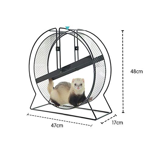 BZZBZZ Rueda de Ejercicio para hámster, Rueda de Mudo de Metal para Mascotas pequeñas de 43 cm, Adecuada para hurón/Ardillas/Chinchillas/Conejillo de Indias/marmota