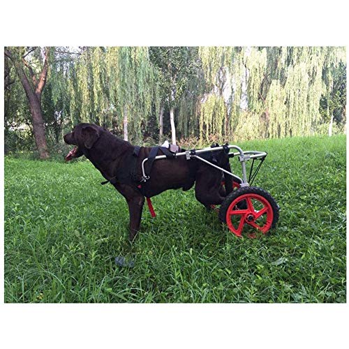 BZZBZZ Silla de Ruedas para Perros Mobility, Carrito de adiestramiento para Mascotas para la rehabilitación de Las Patas traseras de Perros y Gatos de tamaño Mediano con discapacidad senil Grande