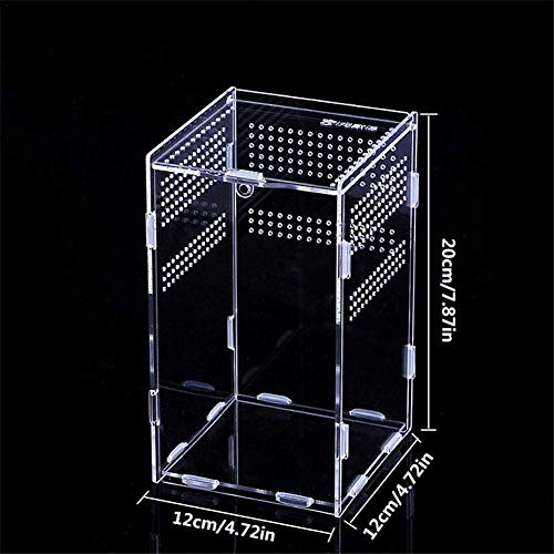 Caja de Alimentación de Insectos, 12x12x20cm Acrílico Transparente Estuche de Cría de Reptiles para Spide, Lagartija, Escorpión, Ciempiés, Rana cornuda, Escarabajo