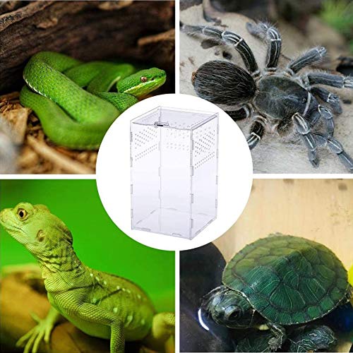 Caja de Alimentación de Insectos, 12x12x20cm Acrílico Transparente Estuche de Cría de Reptiles para Spide, Lagartija, Escorpión, Ciempiés, Rana cornuda, Escarabajo