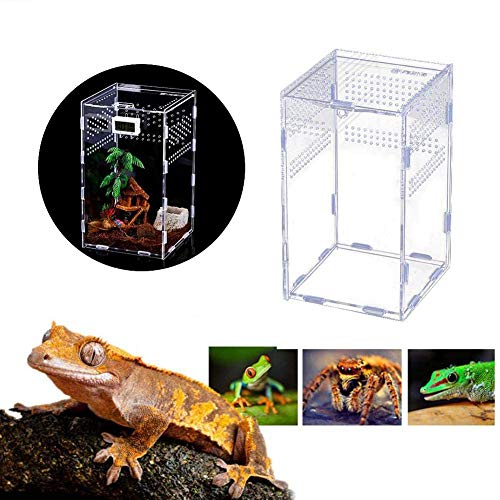 Caja de Alimentación de Insectos, 12x12x20cm Acrílico Transparente Estuche de Cría de Reptiles para Spide, Lagartija, Escorpión, Ciempiés, Rana cornuda, Escarabajo