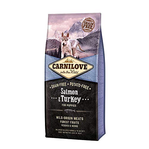 Carnilove 508822 Cachorro Salmon, Pavo 12 kg - Comida Seca para Perros (Cachorro, Salmon, Pavo, 12 kg)