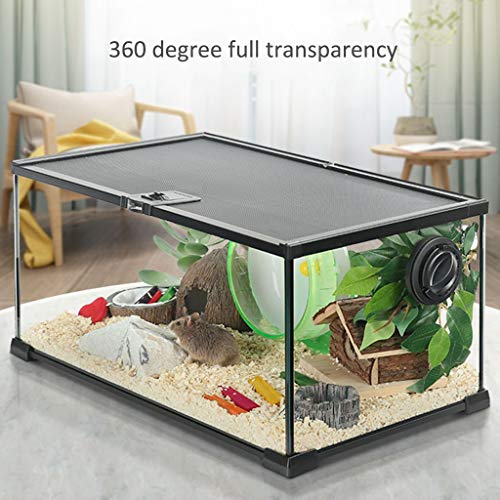 Casa del hámster Juego De Hámster Jaula De Cristal Transparente De Hámster Kit De La Casa Claro Transpirable Pequeño Alimentación Animal del Tanque (Color : Clear, Size : 50 * 30 * 25cm)