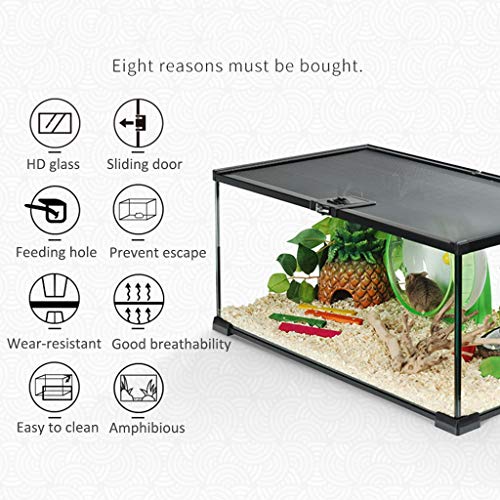 Casa del hámster Juego De Hámster Jaula De Cristal Transparente De Hámster Kit De La Casa Claro Transpirable Pequeño Alimentación Animal del Tanque (Color : Clear, Size : 50 * 30 * 25cm)