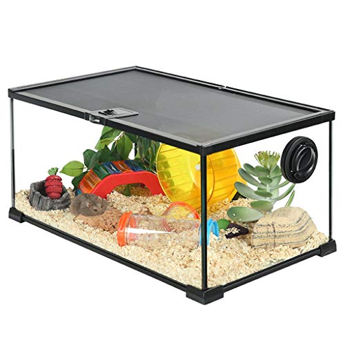 Casa del hámster Juego De Hámster Jaula De Cristal Transparente De Hámster Kit De La Casa Claro Transpirable Pequeño Alimentación Animal del Tanque (Color : Clear, Size : 50 * 30 * 25cm)