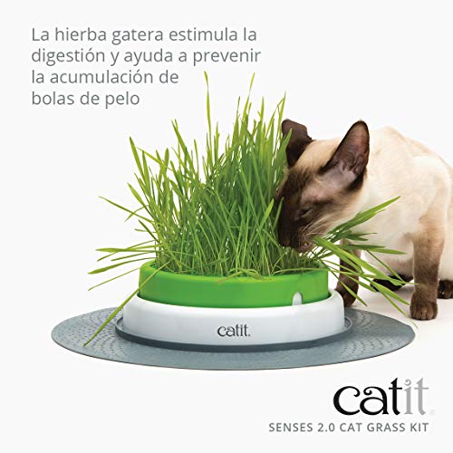 Catit Kit Hierba, 3 Unidades